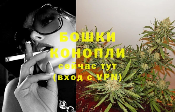 гидропоника Медногорск