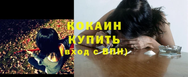 гашик Михайловск