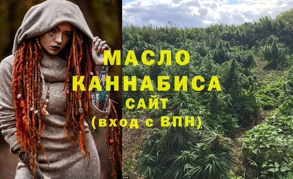 гидропоника Медногорск