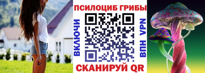 цена наркотик  ОМГ ОМГ ссылки  Псилоцибиновые грибы прущие грибы  Нижняя Салда 